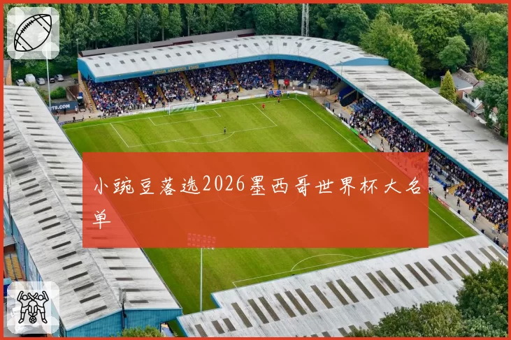 小豌豆落选2026墨西哥世界杯大名单