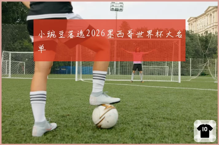小豌豆落选2026墨西哥世界杯大名单
